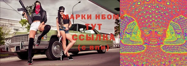 прущая мука Арсеньев