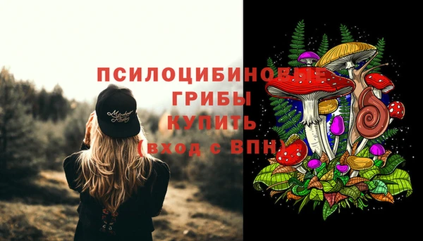 Альфа ПВП Армянск