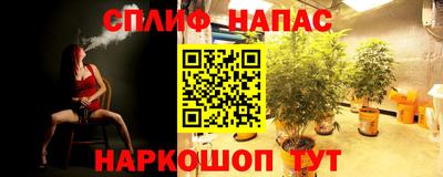 apvp Гагарин