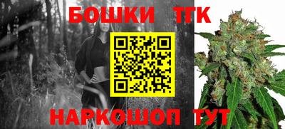 эйфоретик Гай