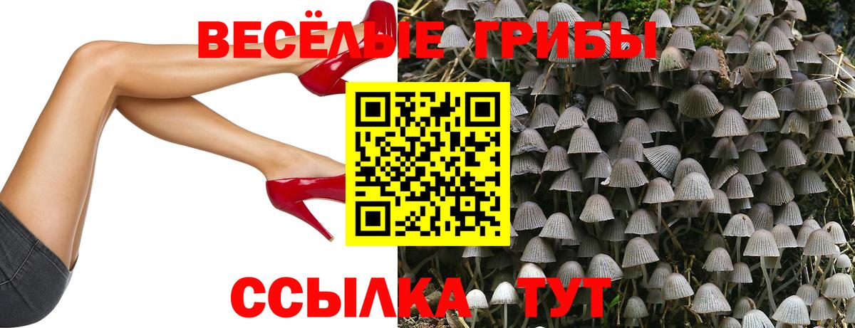 Псилоцибиновые грибы ЛСД Миасс