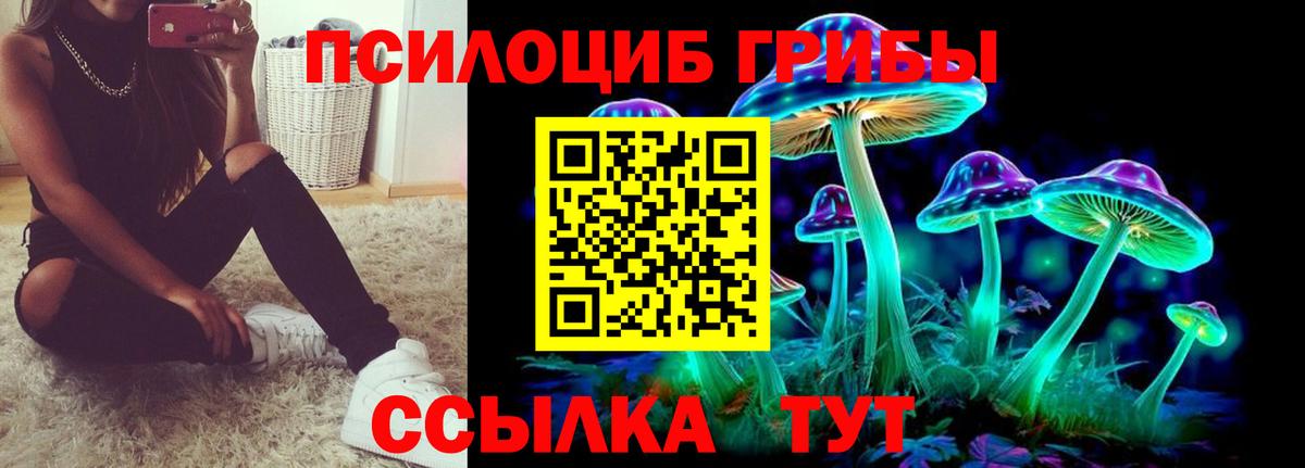 Миасс  Галлюциногенные грибы прущие грибы  где найти наркотики  Вход с VPN 